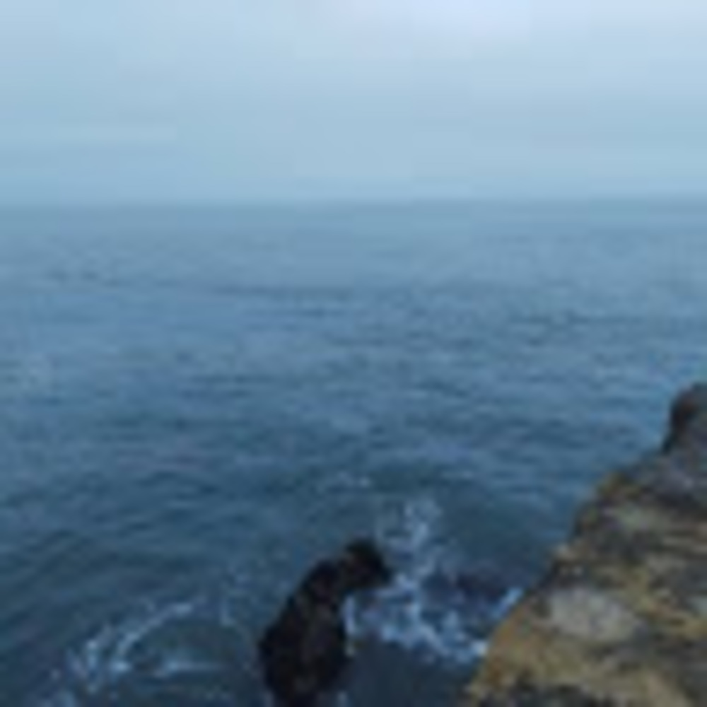 Meet your Posher, Stella